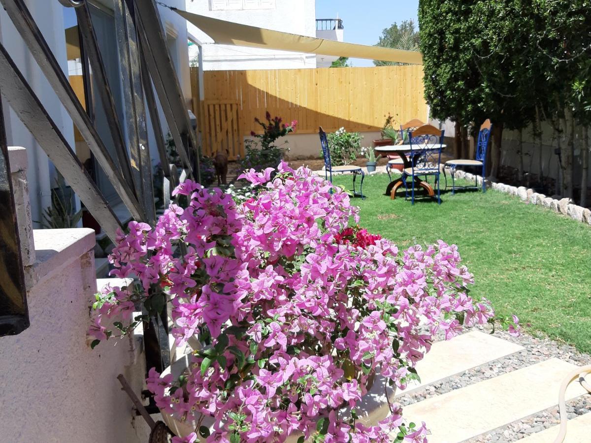 Villa D60 Sharm El-Sheikh Exterior foto