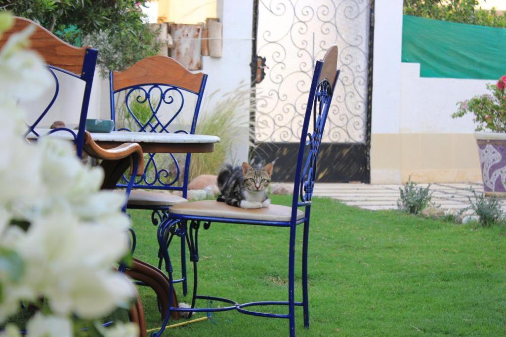 Villa D60 Sharm El-Sheikh Exterior foto